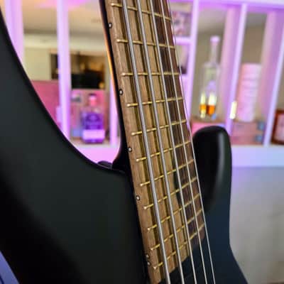 MTD Lynn Keller Signature 532-24 Short Scale 5-String Bass | 32" Scale image 7