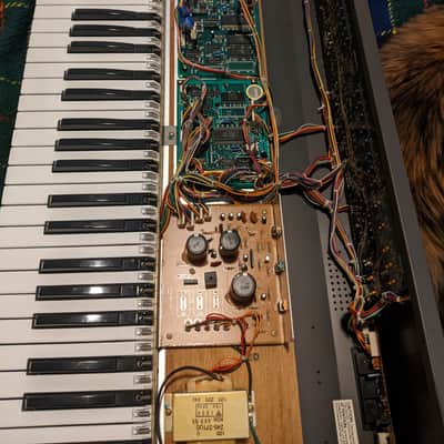 Roland Juno-106 61-Key Programmable Polyphonic Synthesizer 1984 - 1985 - Black image 11