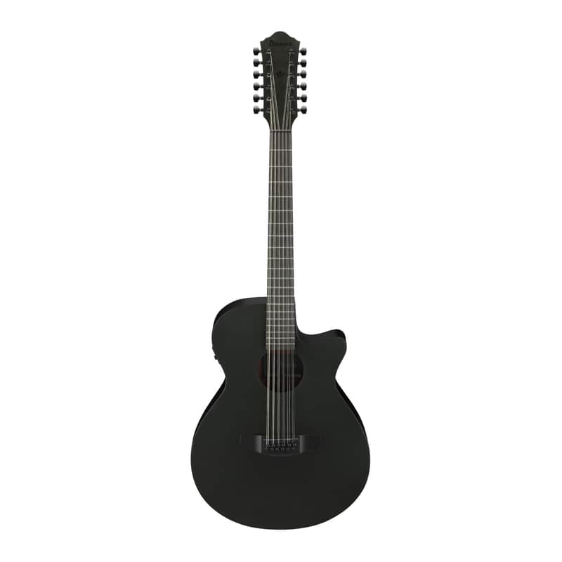 Ibanez AEG1221 image 1