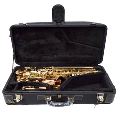 Yanagisawa Model AWO2 Bronze Professional Alto Saxophone MINT CONDITION image 20
