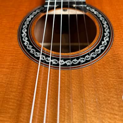 Cordoba C9 Parlor Nylon String Acoustic Guitar Natural image 7