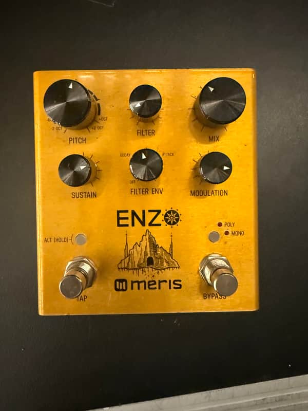 Meris Enzo