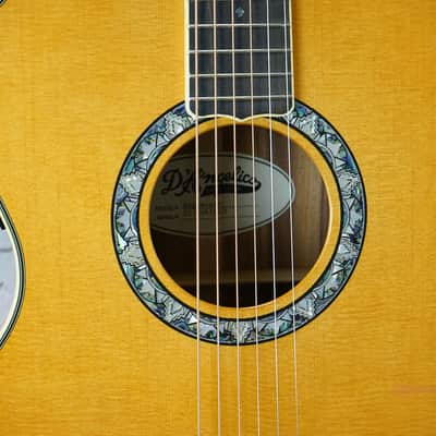 Aspen Exclusive D'Angelico Deluxe Tammany - Vintage Natural image 4