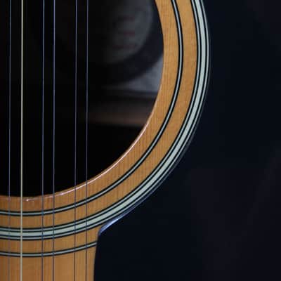 Alvarez RD2012 12 String Dreadnought Acoustic Electric Guitar Natural Finish image 5
