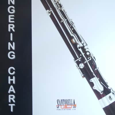 Selmer Basoon checked and serviced image 11