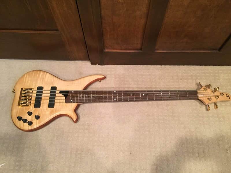 Tune TWB 5 string bass guitar | Reverb