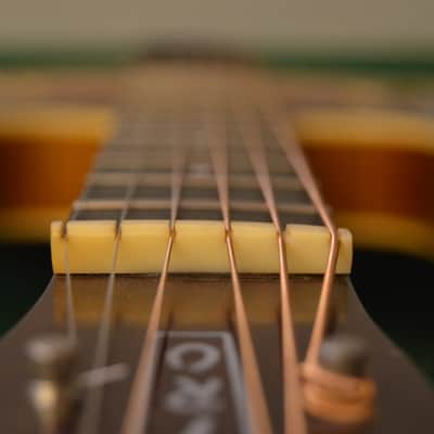 Vintage Danelectro Longhorn Acoustic - ALL Original -  Mint Condition image 16