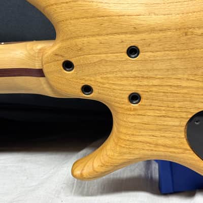 Tobias USA Growler IV 4-string Bass with Gig Bag image 12