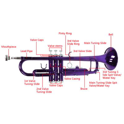 Cxxss Brass B Flat Trumpet Violet image 16