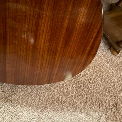 Yamaha GS 310 - Natural image 4