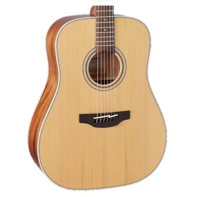 Takamine GD20 Dreadnought Acoustic Guitar - Natural Satin image 1