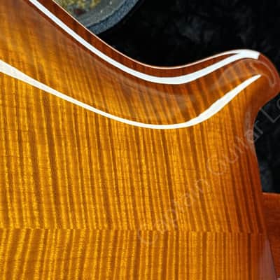 PRS Hollowbody II Piezo 2008 image 18