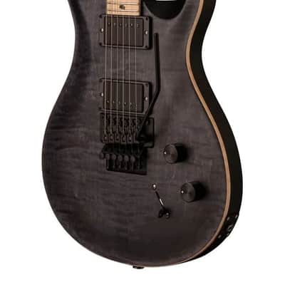PRS Dustie Waring Signature CE 24 Floyd 2018 - Present - Gray Black image 3
