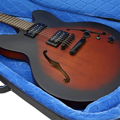 Reunion Blues RBCSH Continental Voyager Semi-Hollow Body Electric Guitar Case image 5