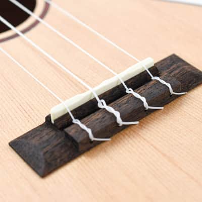 Cordoba 24T Tenor Spruce Ukuele image 7