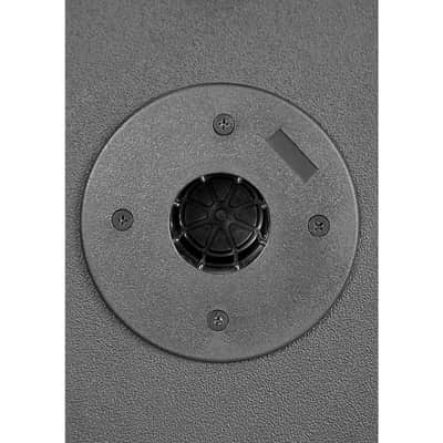 Kustom KPX10 Passive Monitor Cabinet Regular image 6