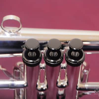 Brasspire Unicorn BPFG-850BS Black Nickel Trim (NEW) Flugelhorn image 13