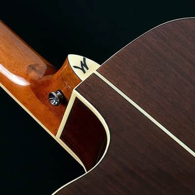 Washburn AG70CEK Apprentice Series Mahogany Neck 6-String Acoustic-Electric Guitar w/Hard Case image 4