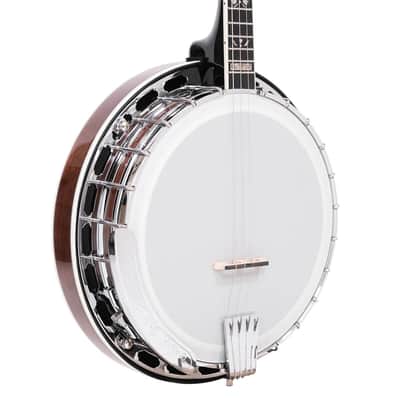 Gold Tone IT-250F/L Irish Tenor Resonator 4-String Banjo w/Flange & Gig Bag For Left Hand Players image 3