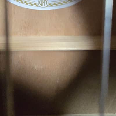 Mitchell Terra Series T333CE 2020s - Edge Burst image 4