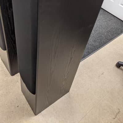 Sound Dynamics RTS-P100 Floor Standing Speakers (Black) image 10