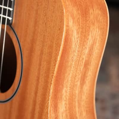 Taylor BT2 Mahogany Acoustic Guitar with Gig Bag image 10