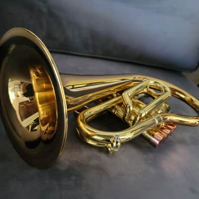 CarolBrass Pocket Flugelhorn / Taylor Phat Puppy 2024 - Polished / Lacquered image 9