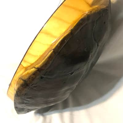 Turtle Shell Electric Guitar image 9