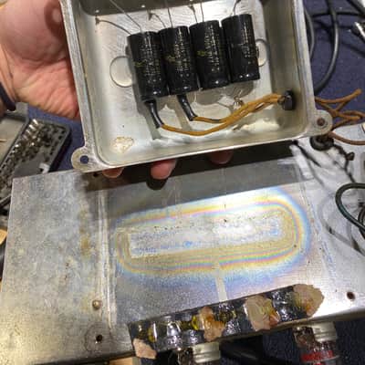 Fender Bassman 5F6A Gold Re-Tolex 1960 image 5