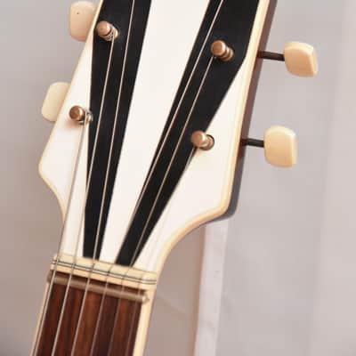 Schönbach Archtop – 1930s Pre-War German Vintage Schoenbach Jazz Guitar / Gitarre image 10