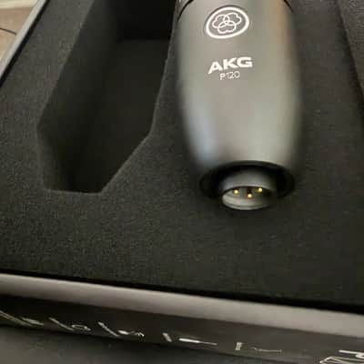 AKG P120 image 3