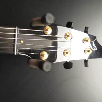 Breedlove Synergy Mark II w/ Midi System 2000s Red Sunburst image 3