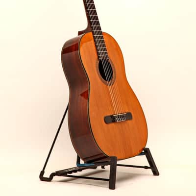 Martin N-20 1968 "Trigger model" image 4