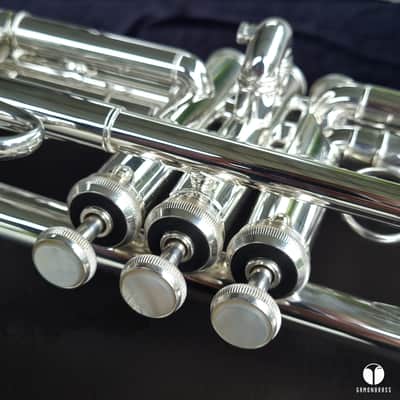 Immagine Bach Stradivarius C 180SL- 229 Chicago large lightweight trumpet case mouthpiece  gamonbrass - 7