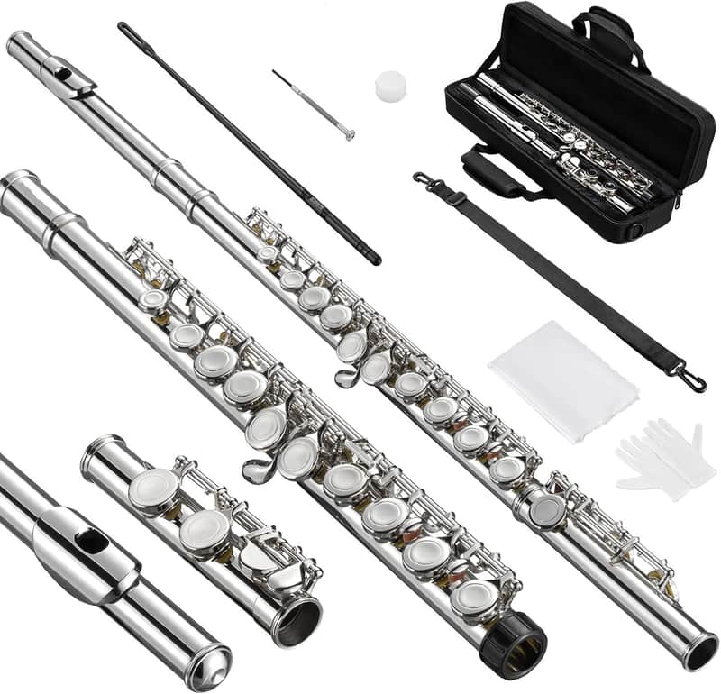 Closed Hole C 16 Keys Flute for Student Beginner, Flute Instrument with Cleaning Kit, Carry Bag, Strap, Probe Rod, Gloves (Nickel) image 1