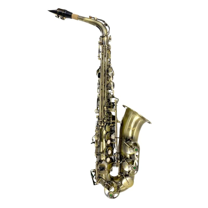 SAX CONTRALTO AMADEUS AL860 Antichizzato image 1