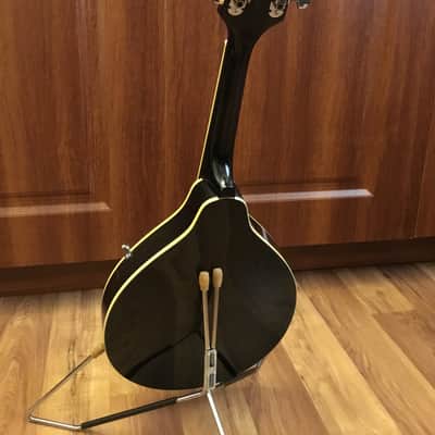 Ashbury Mandolin w/Case image 7