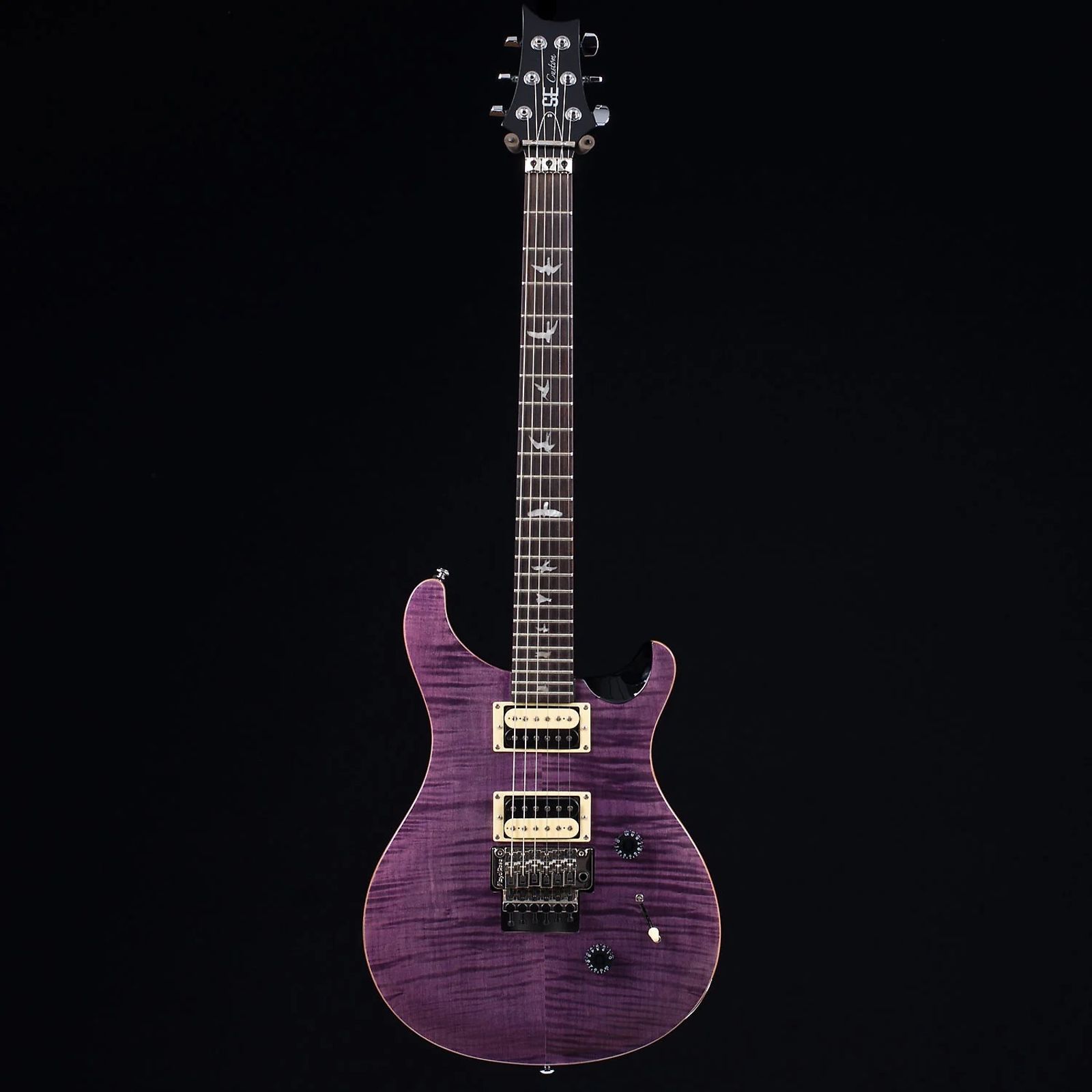 PRS SE Floyd Custom 24 2014 - 2016 | Reverb