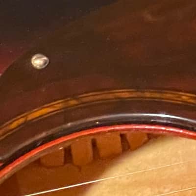 Regal T-12 USA Made 1950's / 1960's  Vintage acoustic Clean!  Red Rubine Sunburst image 18