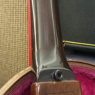 Vintage Gibson EB-1 Electric Bass 1969 Walnut HSC image 13