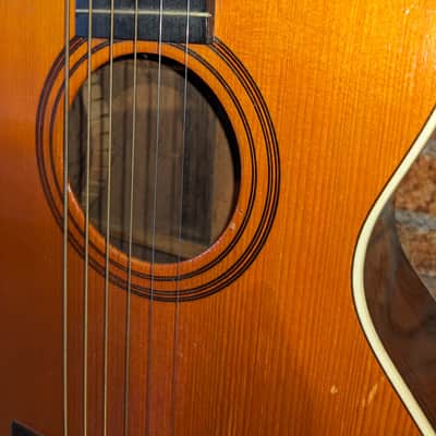 Washburn Parlor 1923 Pre-War II - Brazilian Rosewood back image 11