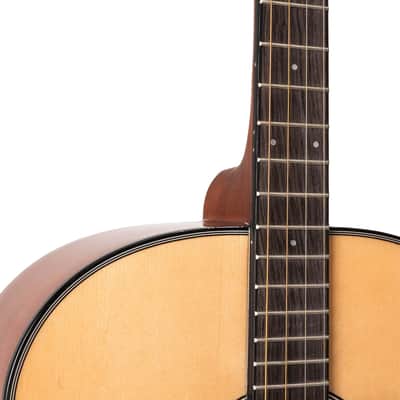 Gold Tone TG-18 Mastertone Tenor Guitar with Bag image 4