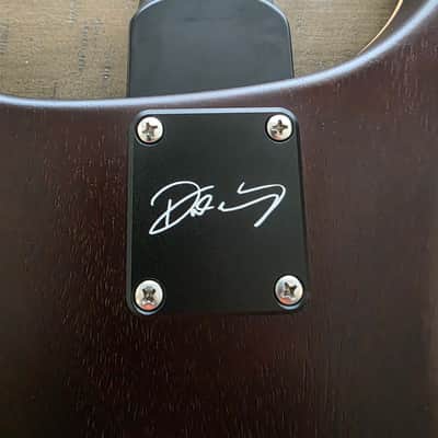 PRS Dustie Waring Signature CE 24 Hardtail 2023 image 11