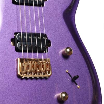Chapman Pegasus Paradise Purple #H23120001 image 9