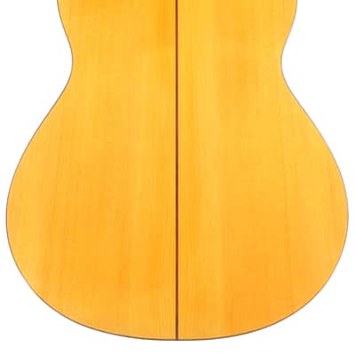 Miguel Molero 2012 "Flamenca Blanca" – a great sounding and easy playing modern flamenco guitar - check video! image 5