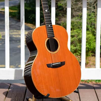 Goodall Jumbo Redwood & Indian Rosewood image 5