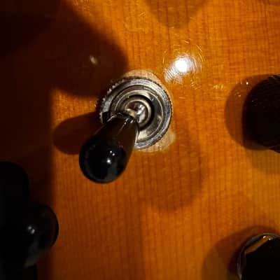 Parker Fly Artist 2008 w/ custom hand wound pickups and OHSC image 7