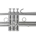 Bach LT190S 1B in B Stradivarius