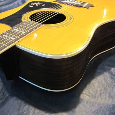 Vintage 1975 Ibanez Artist Acoustic Model 2603 Japan image 9