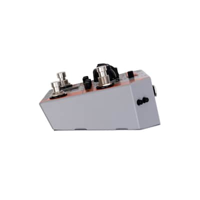 Rainger FX Drone Rainger - Digital Delay image 4